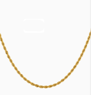 Trendy 18K Gold Plated Stainless Steel Twist Chain Necklace - House of Beauty