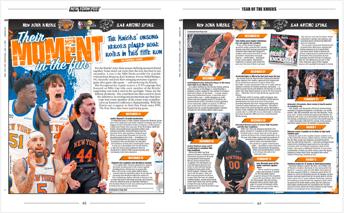 Year of the Knicks Book