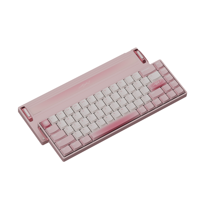 Zirnex Ayne68 Alüminyum Klavye (Manyetik Switch / HE)